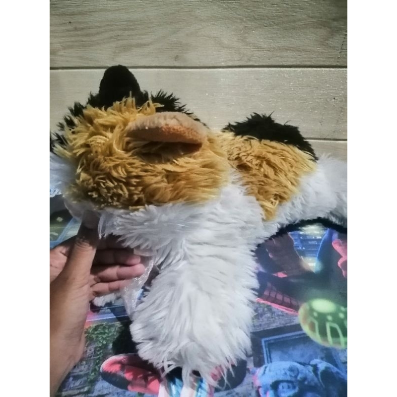 Boneka Kucing (preloved)