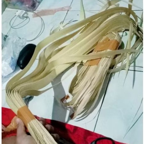 Daun Siwalan / Lontar / Ental (Pupus MUDA) Bahan Anyaman ORIGINAL