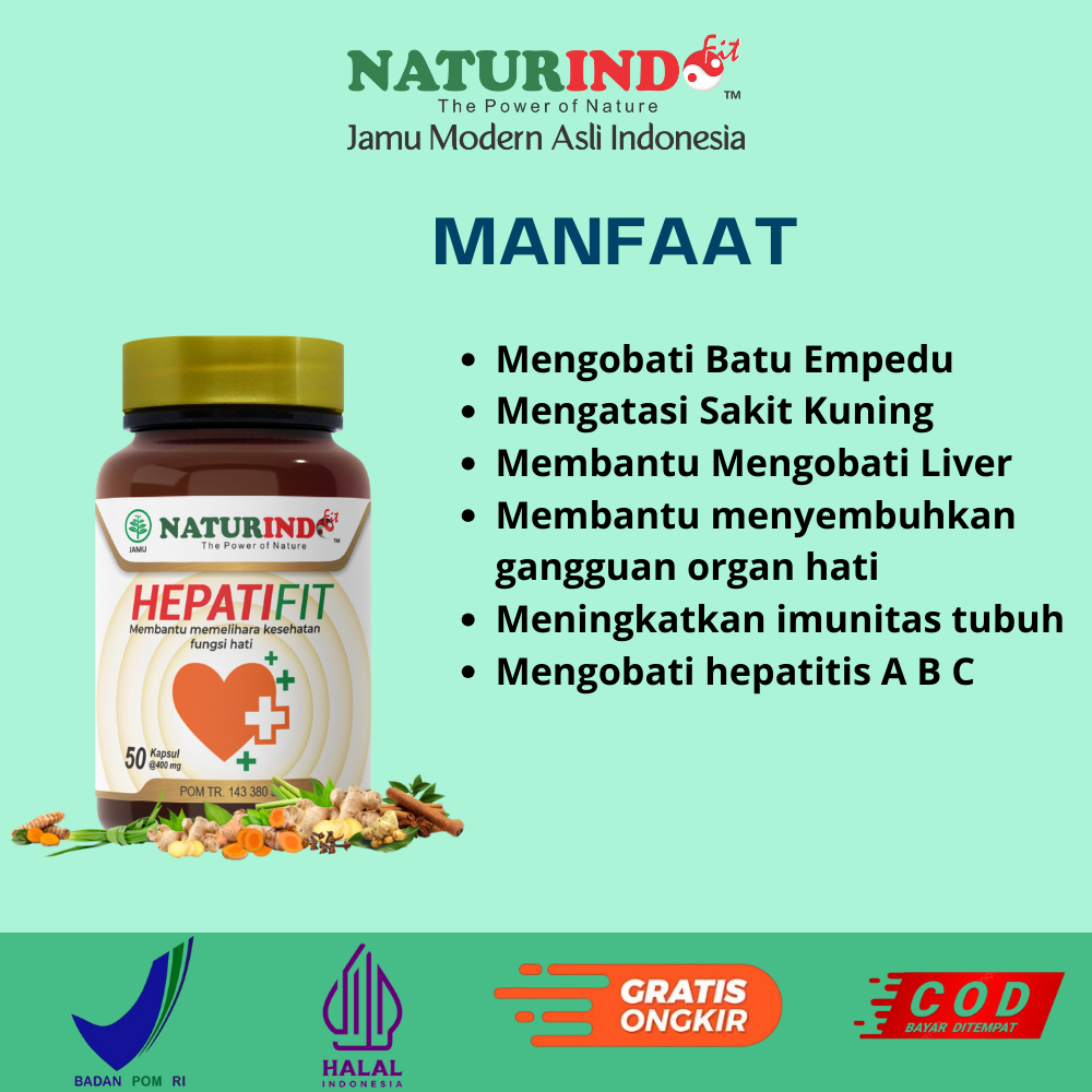 HEPATIFIT OBAT BATU EMPEDU HERBAL PENGHANCUR BATU EMPEDU SAKIT LIVER HEPATITIS A B C SAKIT KUNING HE