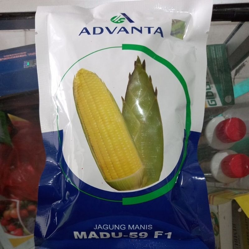 

Jagung Manis Simadu f1