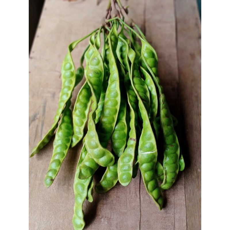 

Pete murah 3 papan/Petai Lumajang murah