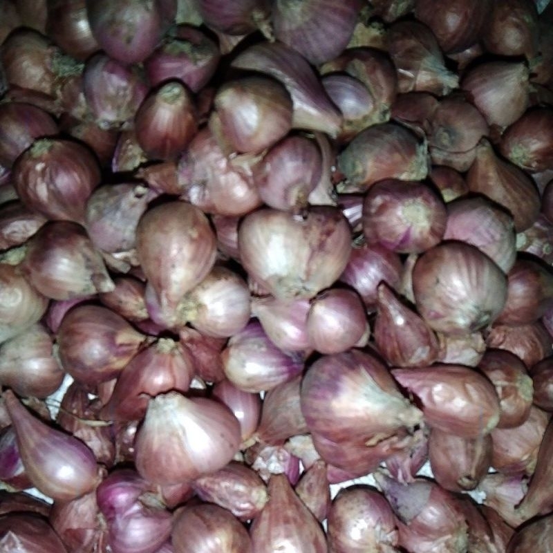 

BAWANG MERAH 1 KG