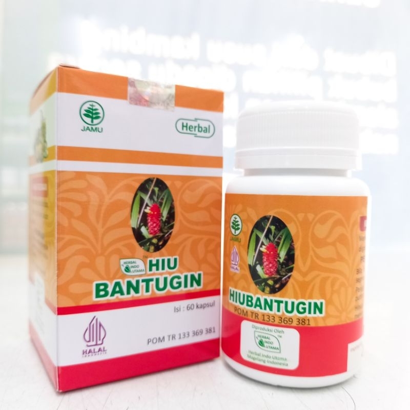 HIU BANTUGIN | Obat Batu Ginjal Penghancur Batu Ginjal