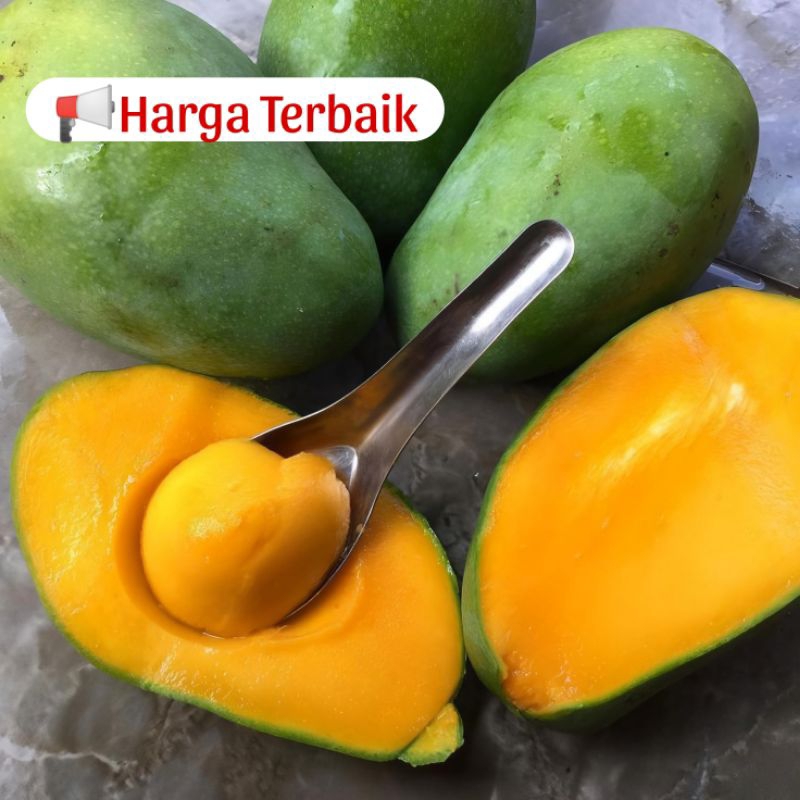 

Mangga Harum Manis 1kg (Dipilihkan yang besar banyak dagingnya)