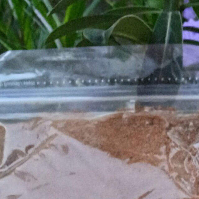 

GULA AREN SEMUT 1 KG