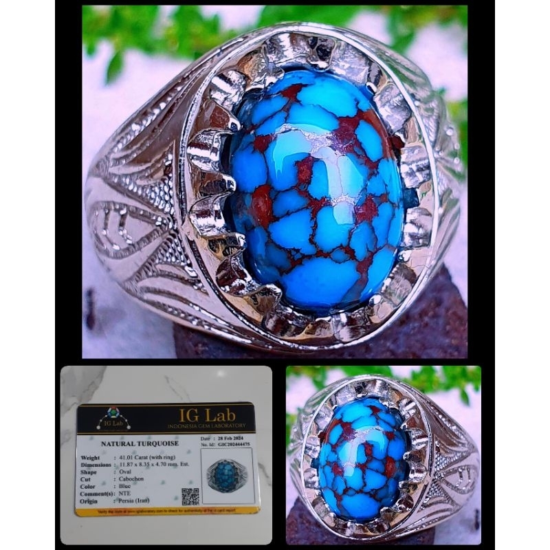 PIRUS PERSIA CEPLOK KURO [ WARNA BIRU TINTA FANCY ]