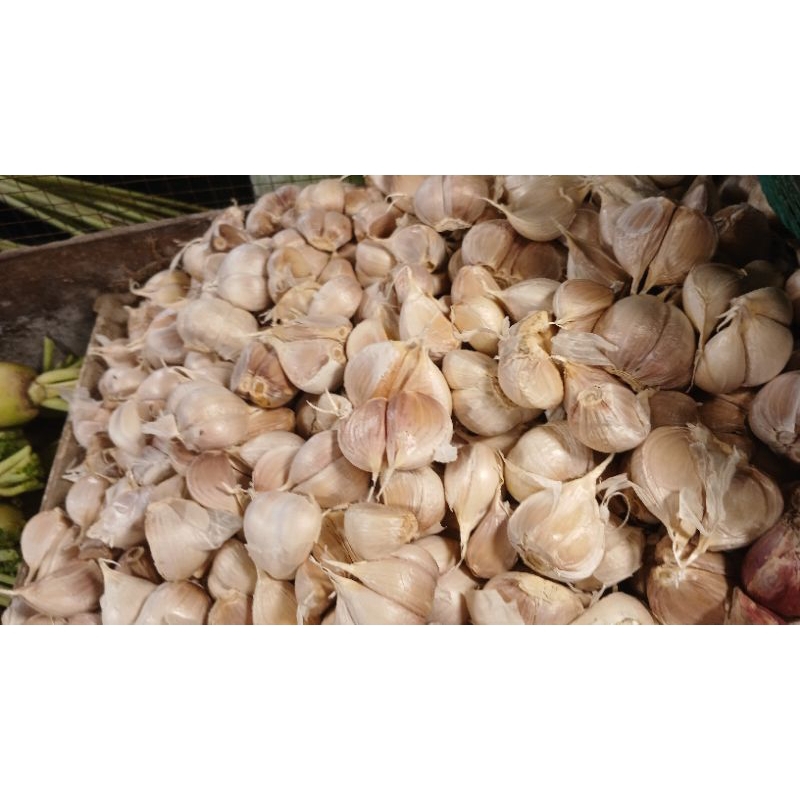 

Bawang putih kating 500grm