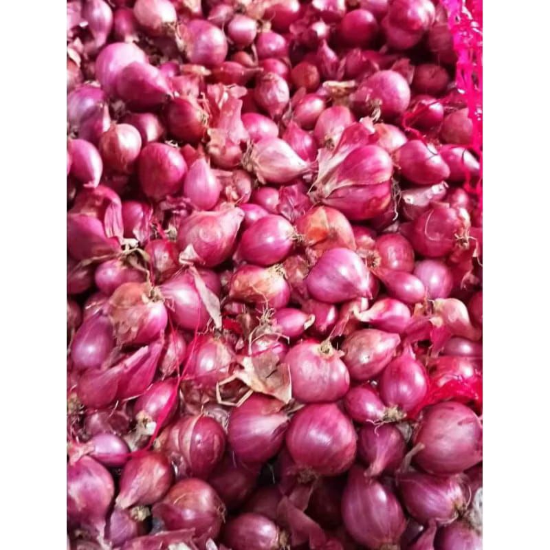

Bawang Merah bawang merah brebes 1kg/500Gram