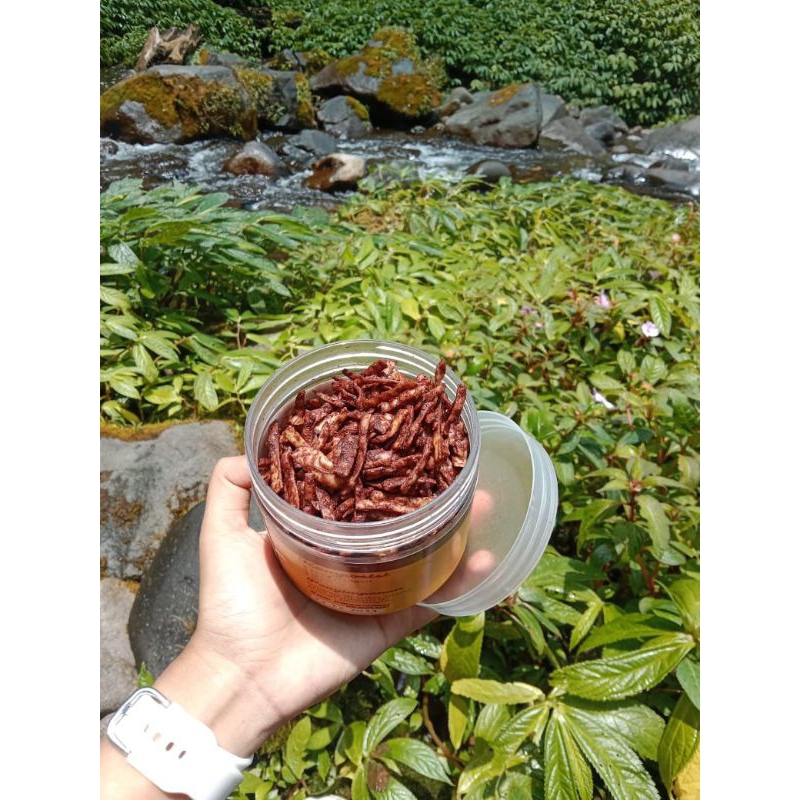 

Bronik stik cokelat