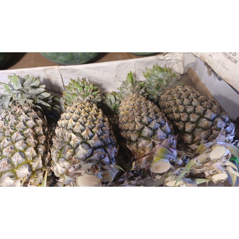

buah nanas biasa mateng per biji 1biji
