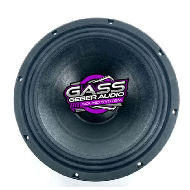 Speaker 12 inch ASHLEY 12V300