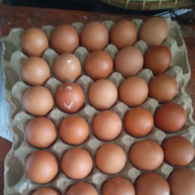 

telur ayam ngeri 1kg