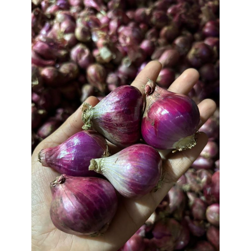 

BAWANG MERAH ASLI, bawang merah segar