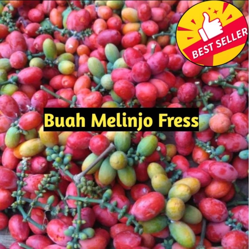 

buah melinjo segar fresh 1kg asli banten buah melinjo sayur
