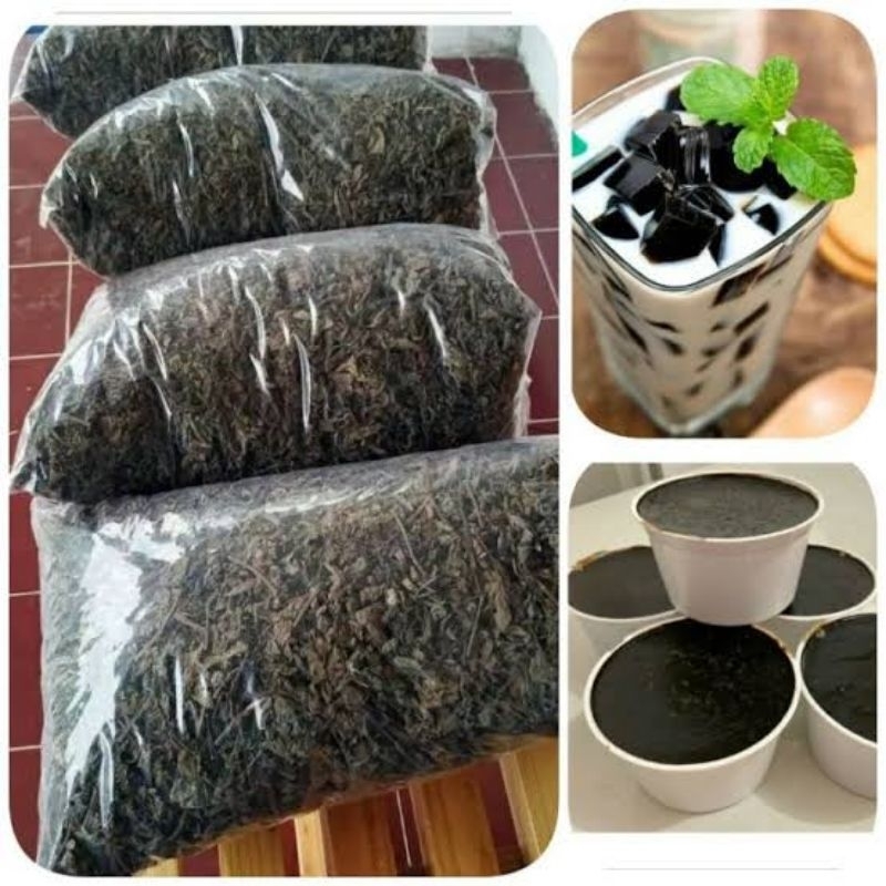 

Daun Cincau Hitam Kering 1 Kg | Bahan Cincau Hitam Super