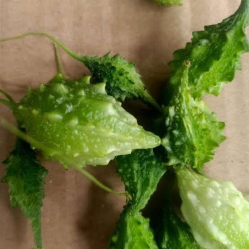 

buah pare hutan segar 100g