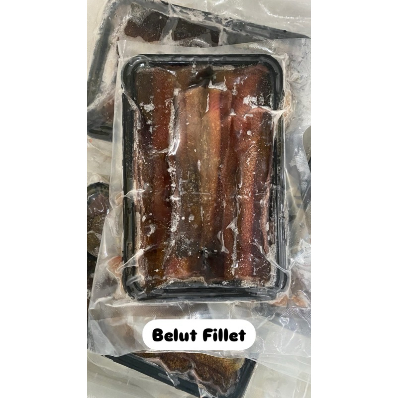 Belut Fillet 250gr