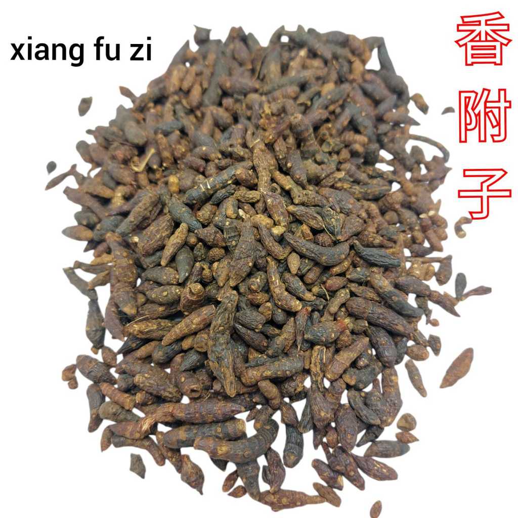 

Xiang Fu Zi 香附子 Mentah Untuk Rendaman UMBI RUMPUT TEKI NUTGRASS GALINGALE RHIZOME CYPERUS TUBER