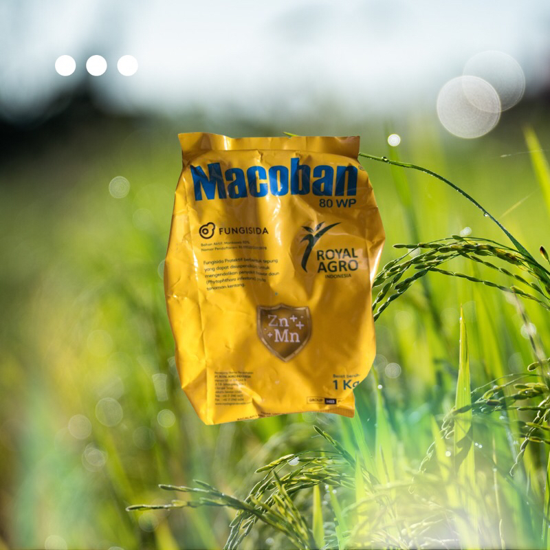 MACOBAN KUNING 80 WP 1kg