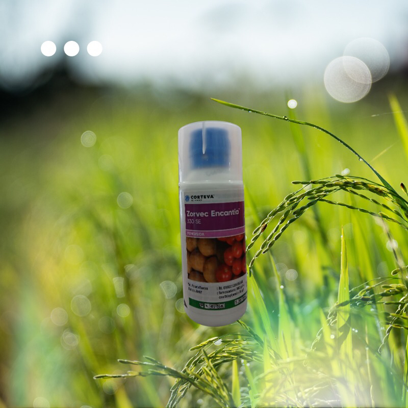 Zorvec Encantia 150ml