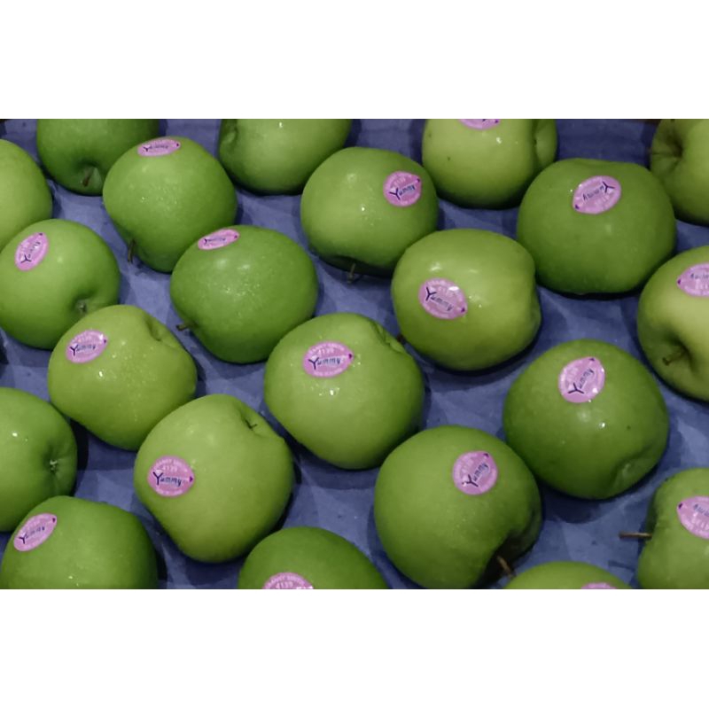 

Apel Hijau Granny Smith 550 gr (bisa untuk detoks)