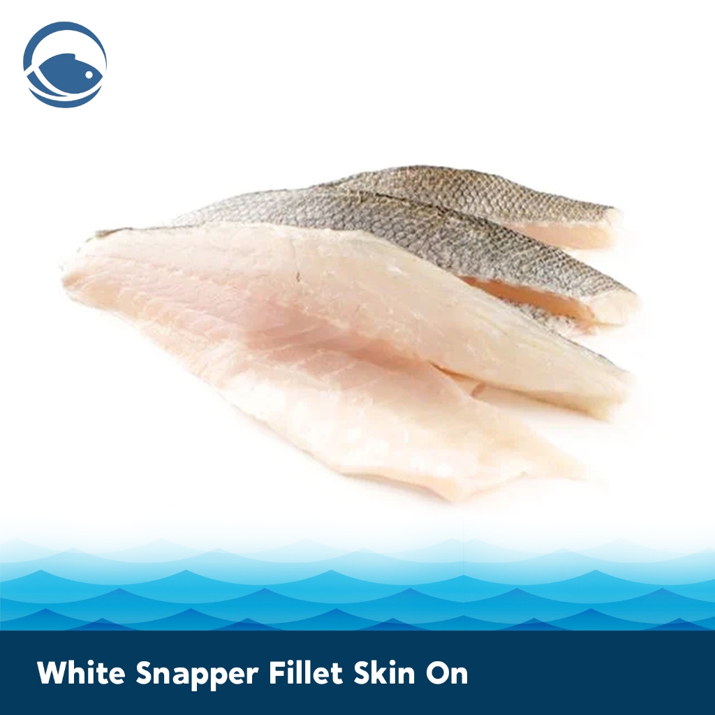 Ikan White Snapper Fillet Skin On Kakap Putih Wild Caught Fish Premium Bersih Segar