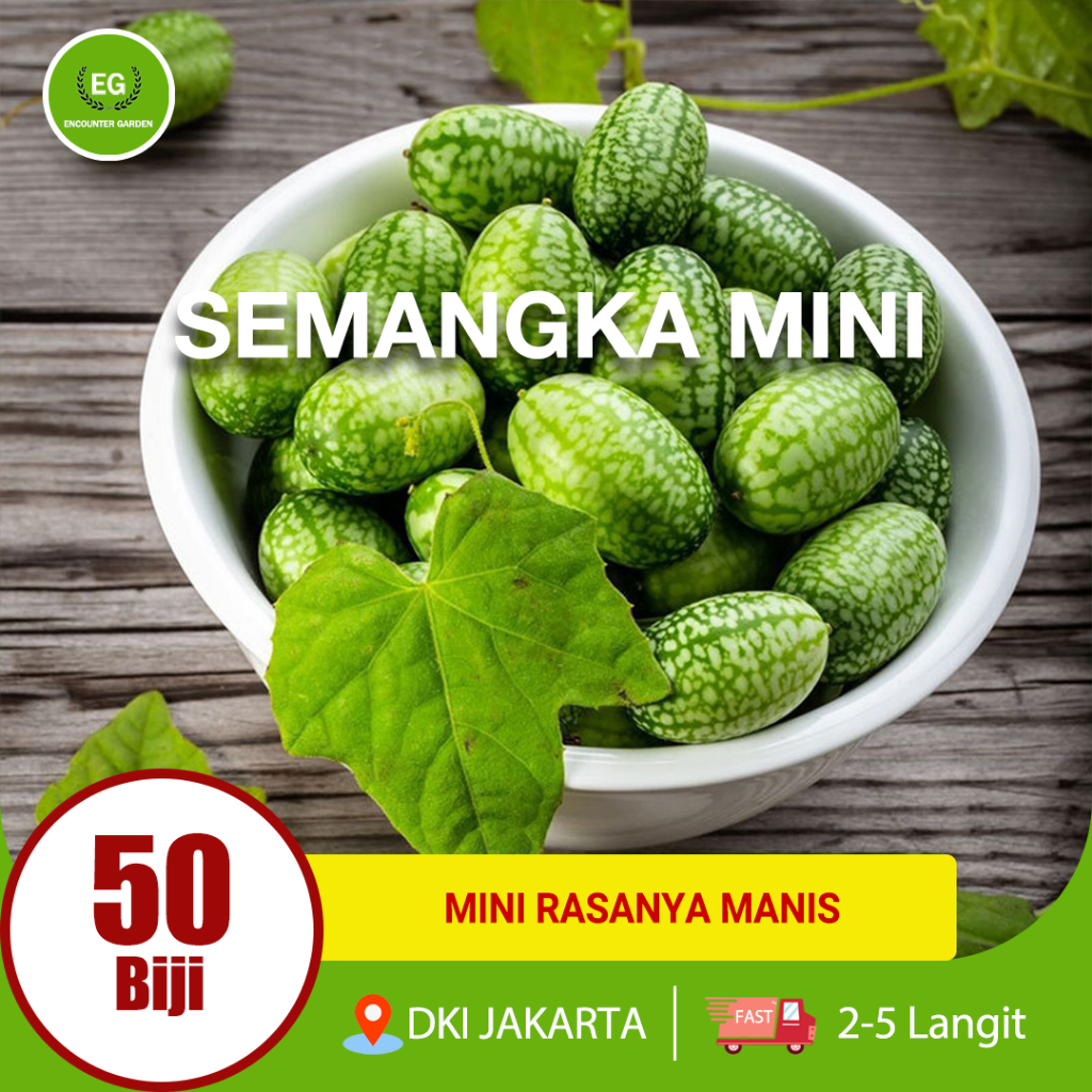 SEMANGKA MINI BENIH 50 biji