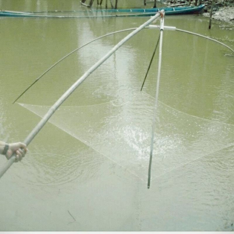 Jaring sirib ikan kecil 1×1 meter jaring ikan lunjar dan udang