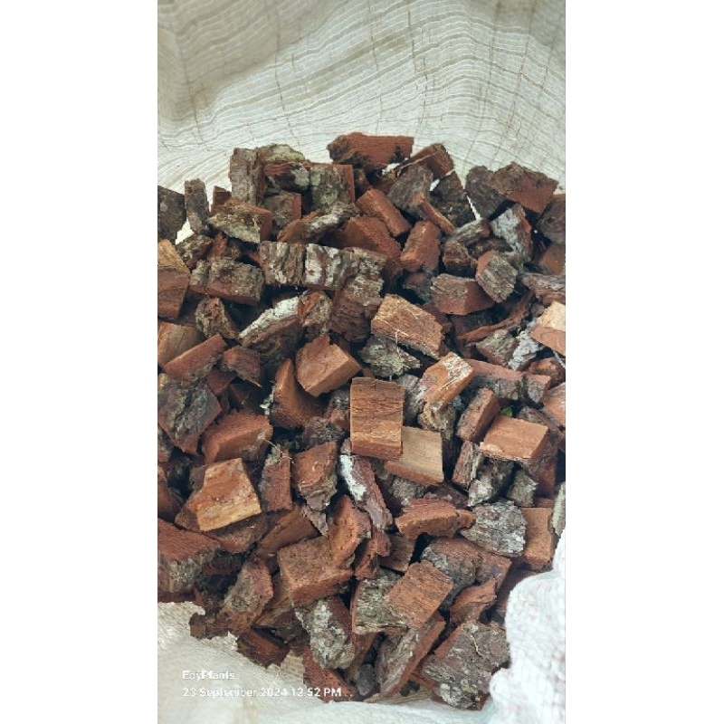 kulit pinus cacach 1kg media tanam anggrek