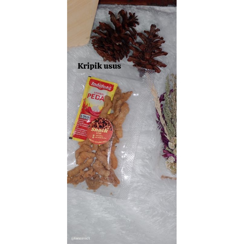 

kripik usus