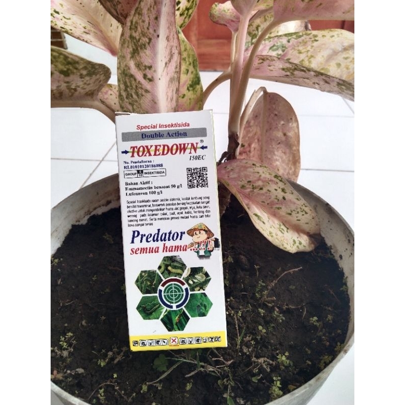 INSEKTISIDA TOXEDOWN 150 EC 100Ml RACUN ULAT GRAYAK/OBAT ULAT