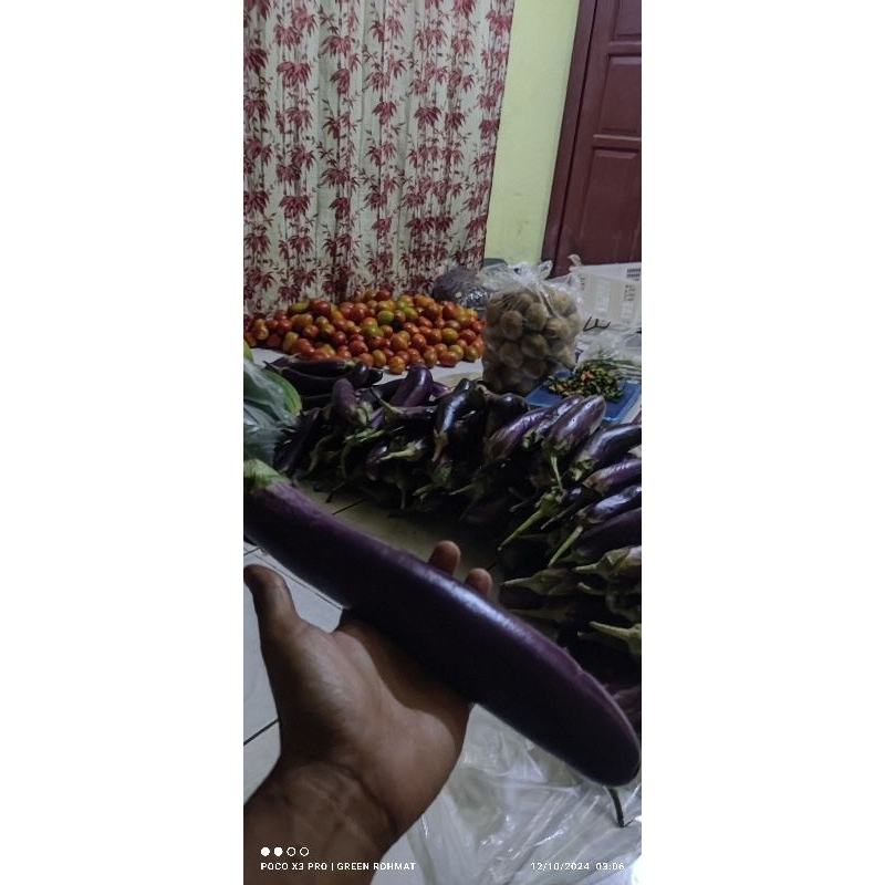 

Terong - Harga Perkilogram