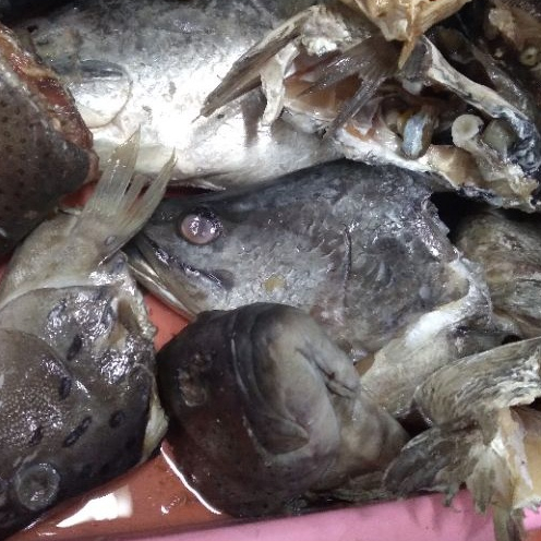 

kepala ikan kakap & krapu 1kg