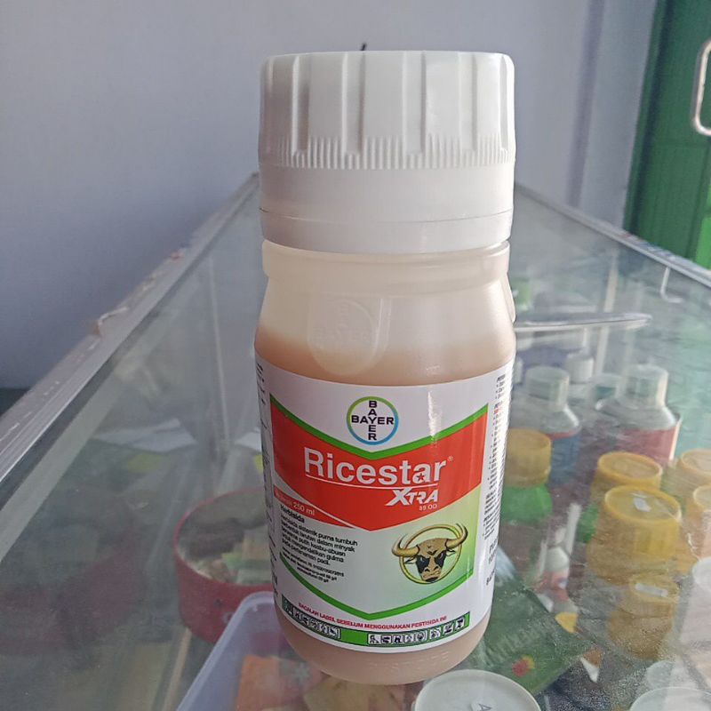 ricestar x-tra