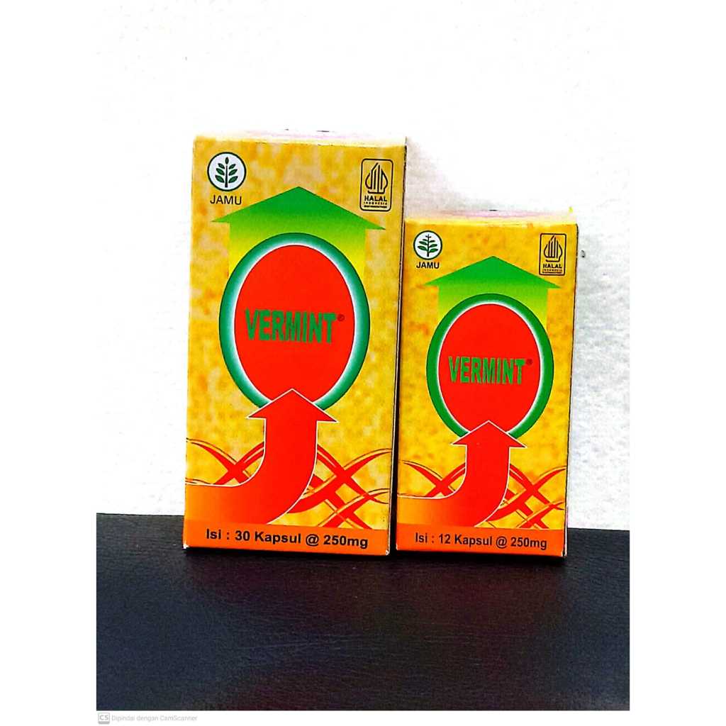 Vermint / obat extra cacing / obat untuk demam