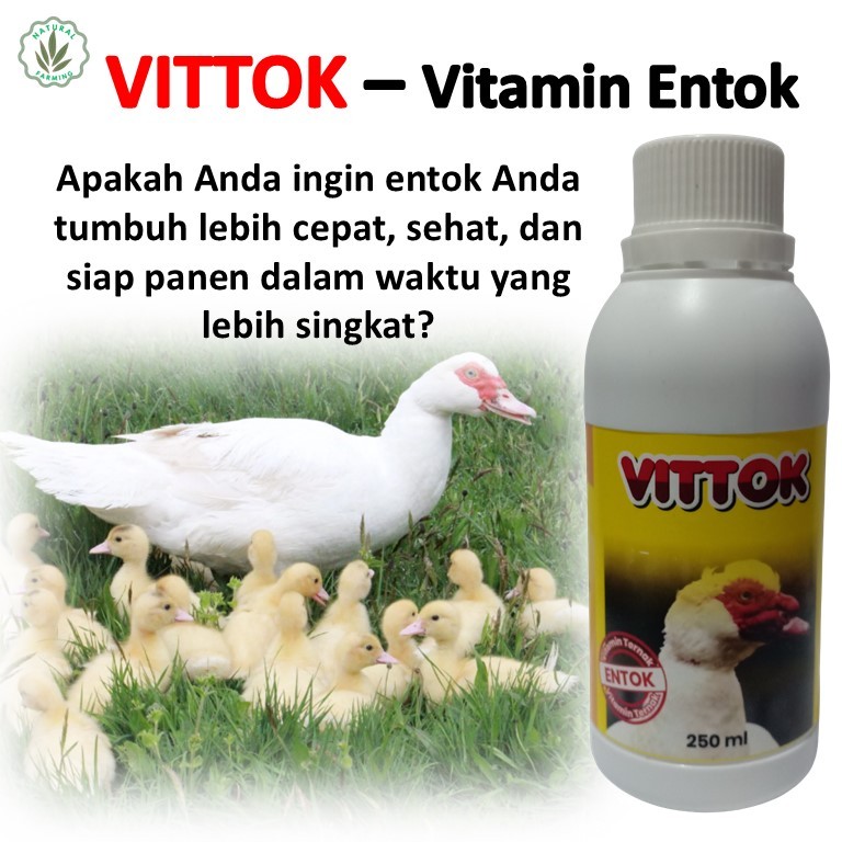 VITTOK 250 ml / Vitamin khusus entok /  Vitamin entok cepat besar /  Suplemen vitamin untuk DOE Ento