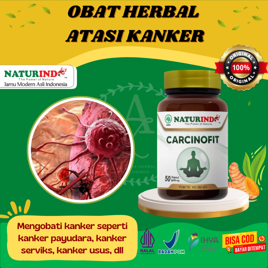 Obat Kanker Obat Kanker Payudara Obat Kanker Serviks Obat Tumor Payudara Benjolan Payudara Herbal Ka