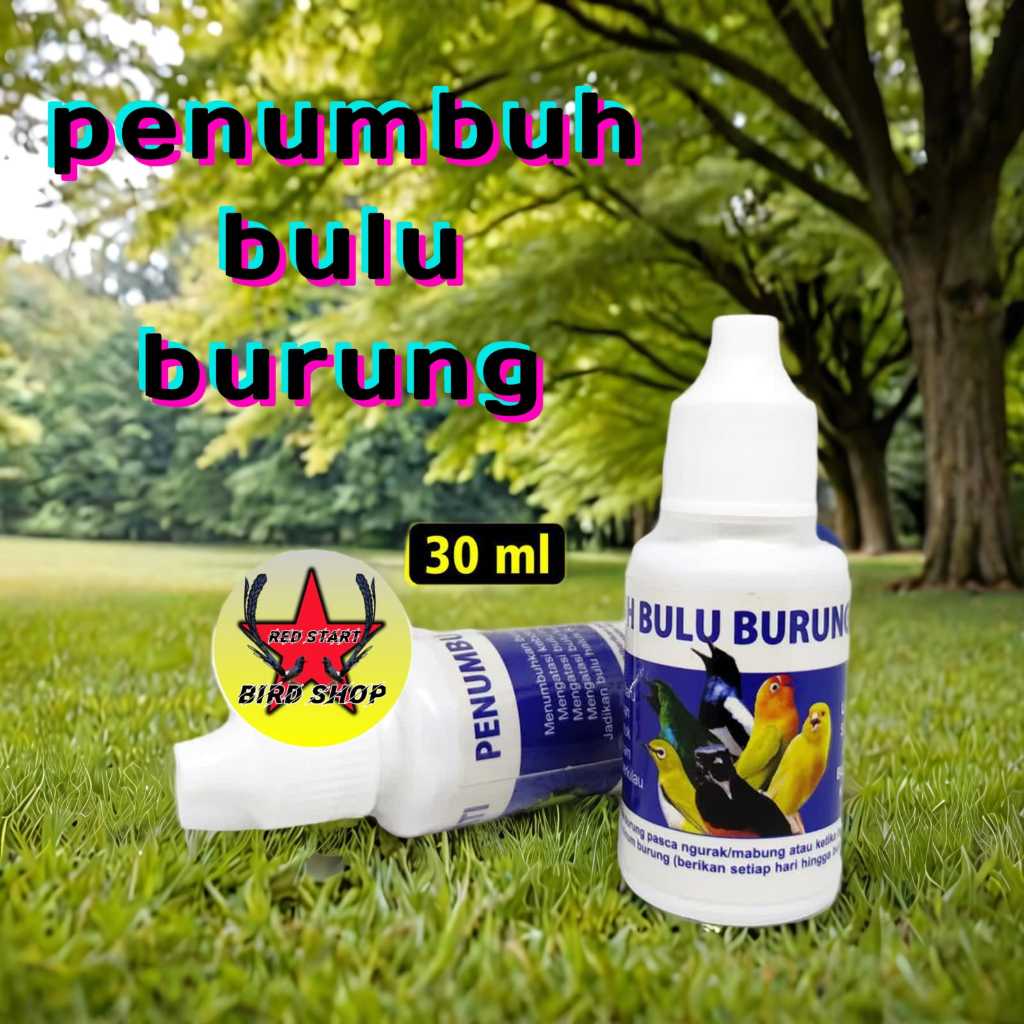 Obat Penumbuh Bulu Burung Sempati Obat Burung Bulu Rontok Patah Mabung Ngurak Moulting Lama Bermasal