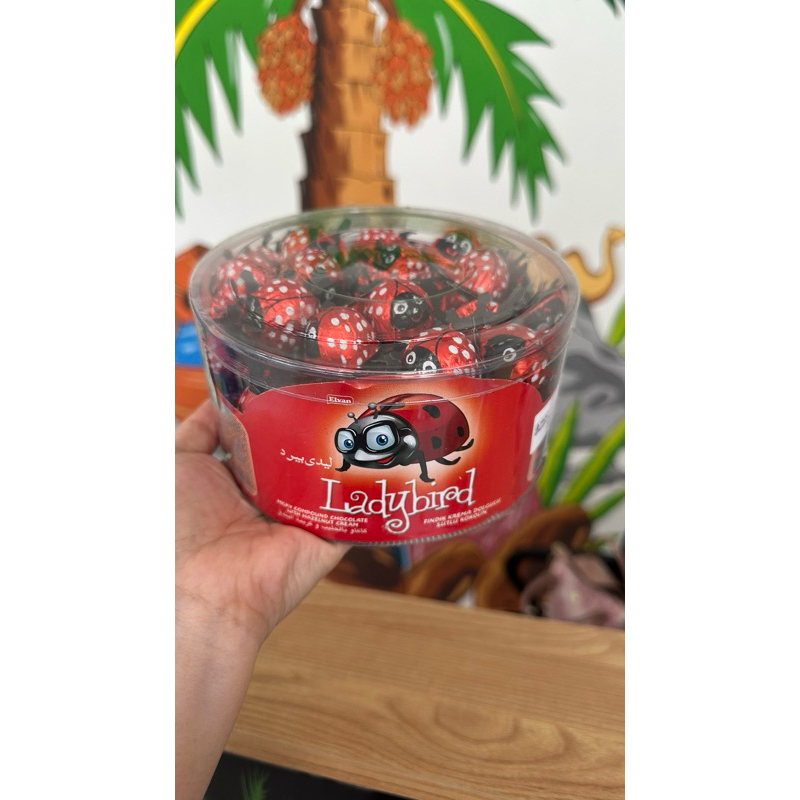 

coklat kumbang turkey