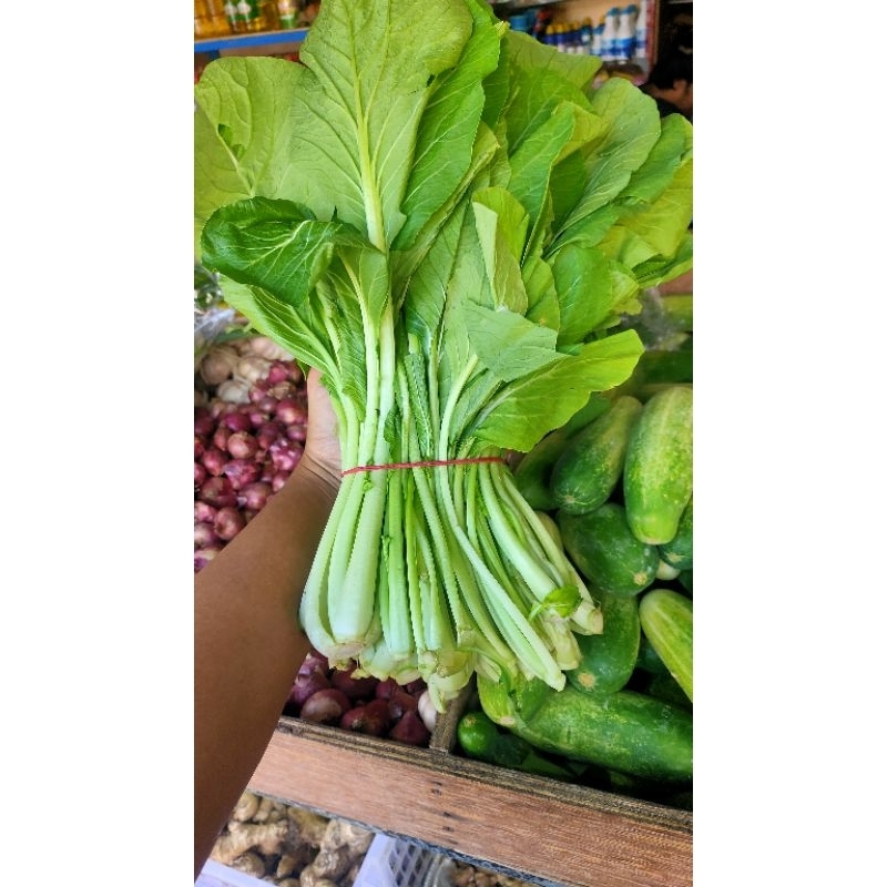 

COD INSTAN 1 gabung 1 kg sawi hijau sayur hijau