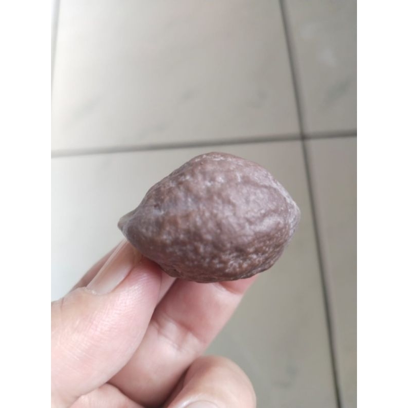 Muncang Adu Jayanti Si Pait ori Full Tua