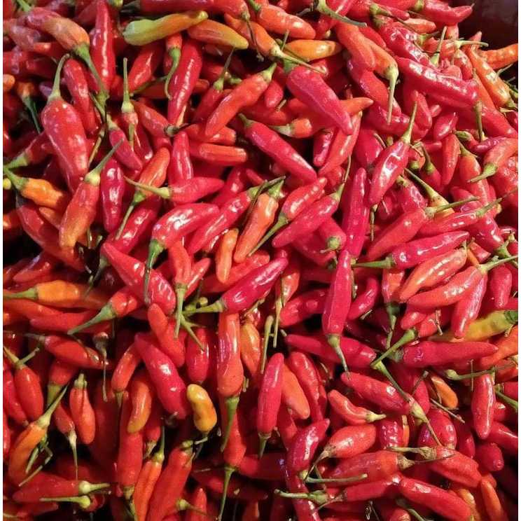 

Bisa COD!!! cabe rawit 500 gram