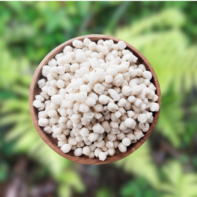 

PILUS CIKUR / TOPING BAKSO ACI / ASLI GARUT / 500 GRAM