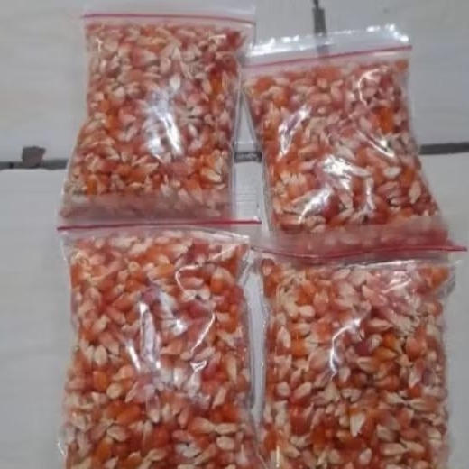 300 GRAM BENIH JAGUNG KRISTAL SUPER
