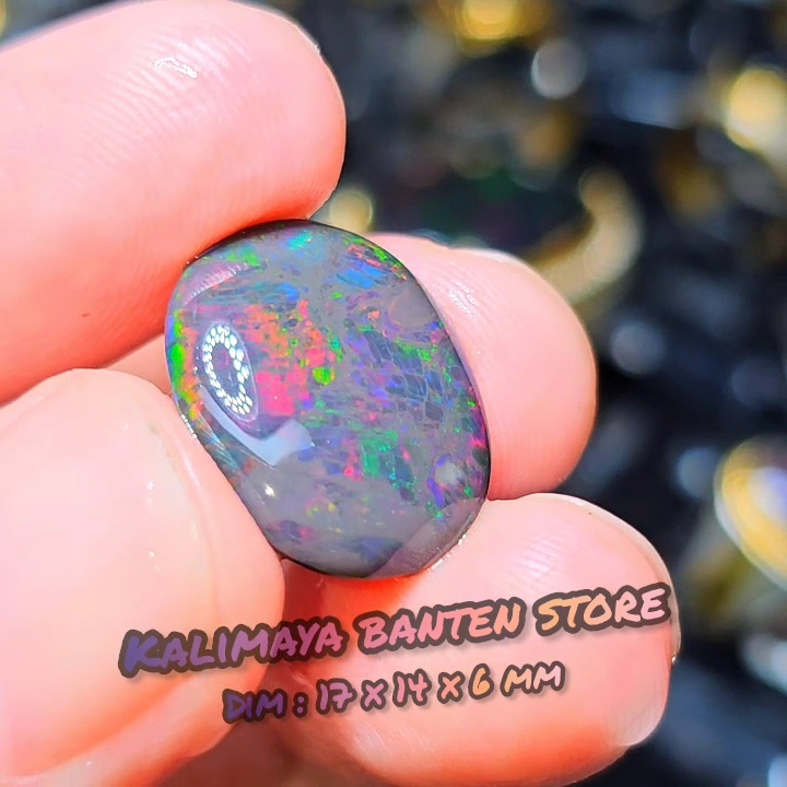 Black Solid Opal Banten Jarong Super