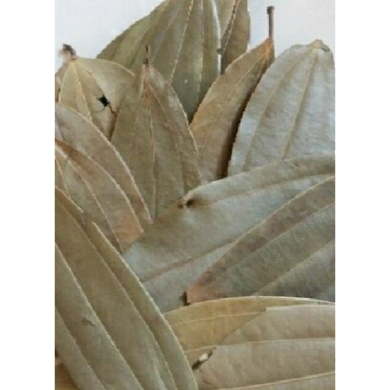 

Daun salam indiya kering