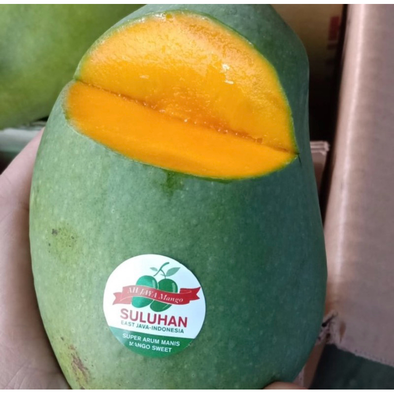 

mangga alpukat harum manis masak pohon premium 4kg