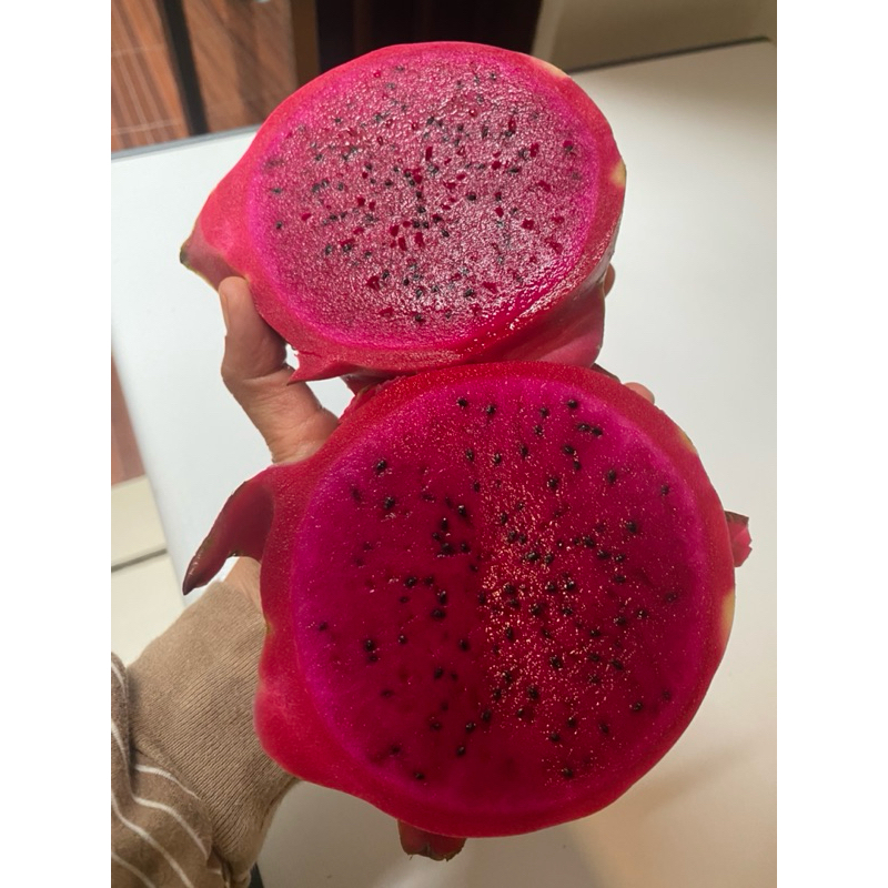 

Buah Naga Merah Banyuwangi Manis