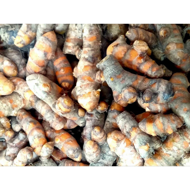 

kunyit kunir langsung dari petani