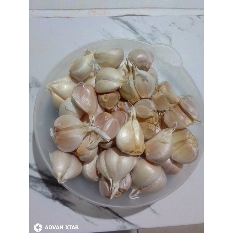 

Bawang putih Kating 500g